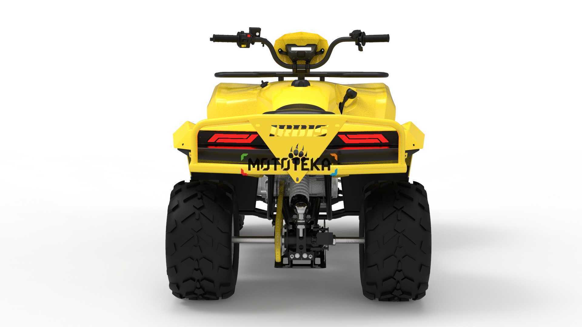 Квадроцикл IRBIS (Ирбис) ATV 250 LUX 2024 зелёный с ПСМ