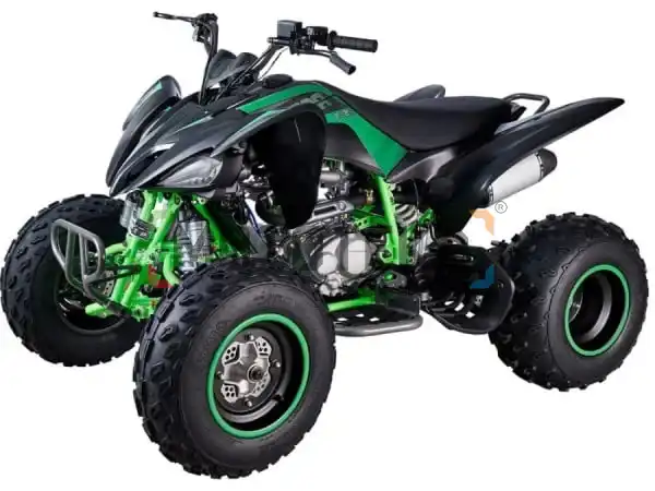Квадроцикл Mikilon (Микилон) Rapide 250S зелёный (машинокомплект)