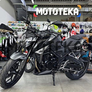 Сезон 2025! Мотоцикл дорожный MotoLand (Мотолэнд) 300 DF BIG BORE (XF300-B) (CBS300 с балансиром) серый с ПТС